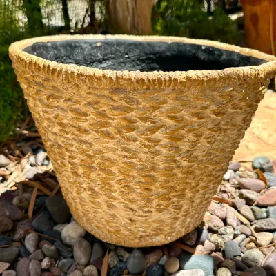 Pot #24