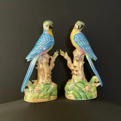 Andrea By Sadek Parrot Couple 