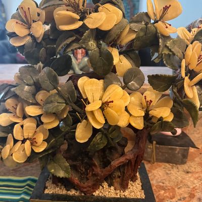 Heavy Asian Jade Tree 
$400