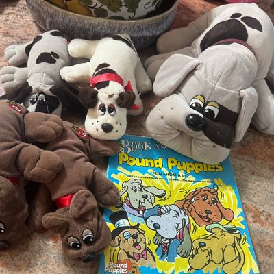 Pound Puppy Lot
$100