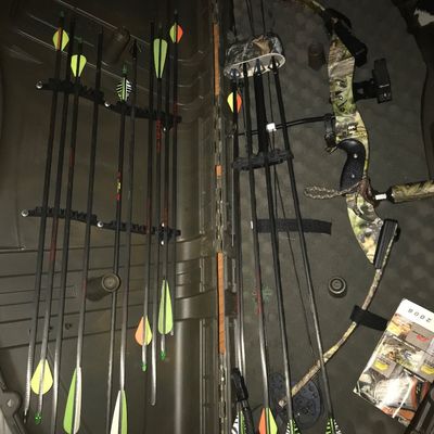 Bruin Arrow,Case and More
$500