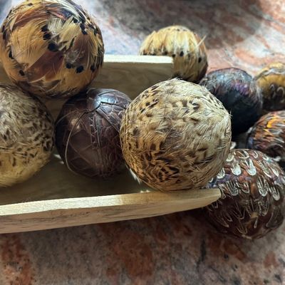 Quail Feather Balls/Wood
Scoop 
$80