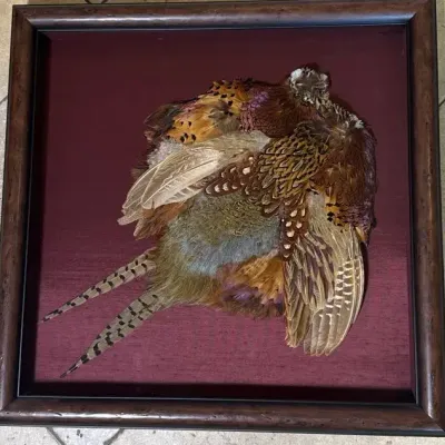 Wild Bird Art #2