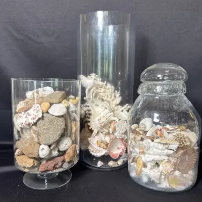 Shell & Lava Rock Collection 