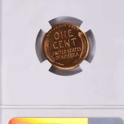 Sale Photo Thumbnail #522