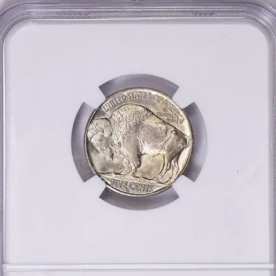 Sale Photo Thumbnail #879