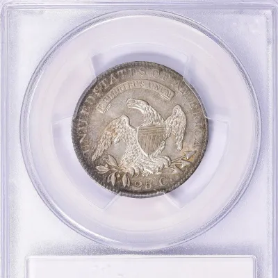 Sale Photo Thumbnail #443