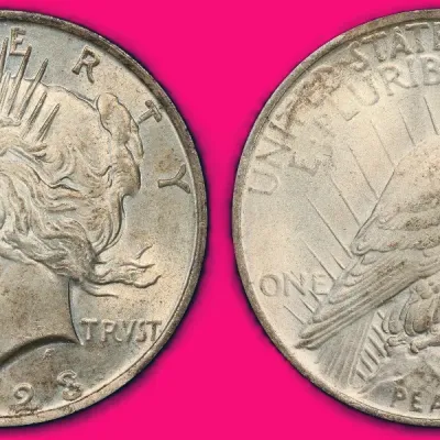 Sale Photo Thumbnail #978