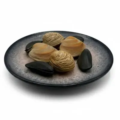 Sale Photo Thumbnail #140: Italian Trompe l'Oeil "Clams and Mussels"