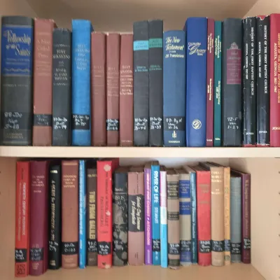 Celebrating Grace  Pastoral Theology Books