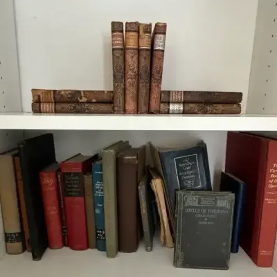 From The Pastor's Library - Vintage Books