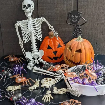 Trick Or Treat!