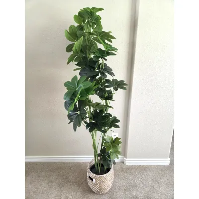 Sale Photo Thumbnail #83: 5.5-Foot Faux Schefflera Plant with Woven Basket Planter - Decor