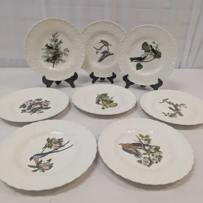 Alfred Meakin England The National Audubon's Birds Of America Plates