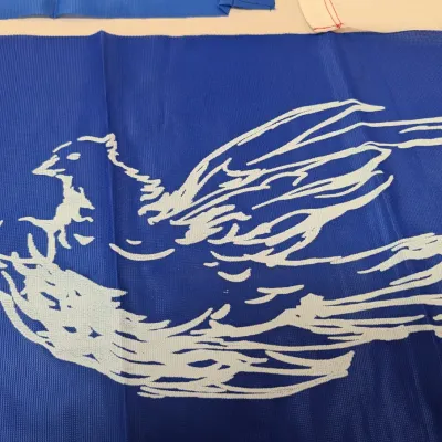 Vintage East Germany Parade Flag SED USSR Soviet Union Dove, Thalmann Pioneer DDR Seid Bereit, Soviet Republic Flag, Free East German Flag