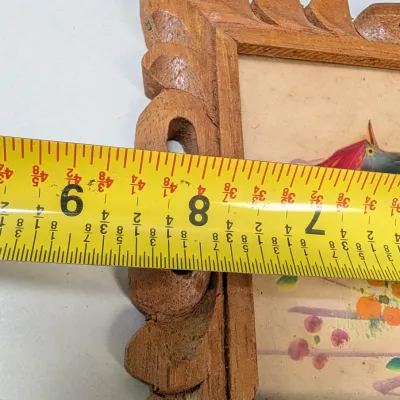 Vintage Mexican Bird Folk Art Feathercraft With Hand Carved Cedar Frame