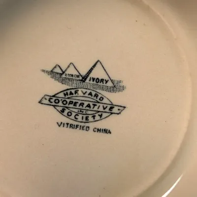 Ivory Harvard Society Mug & Collegivm Georgiopolitanvm Georgetown Mug