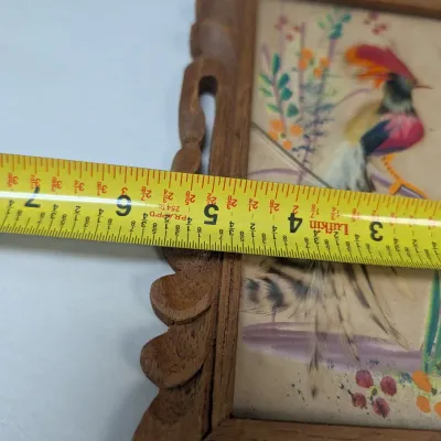 Vintage Mexican Bird Folk Art Feathercraft With Hand Carved Cedar Frame