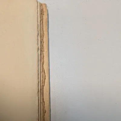Robert Louis Stevenson Memories Book