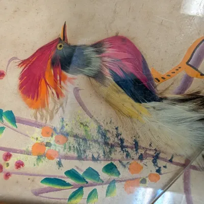 Vintage Mexican Bird Folk Art Feathercraft With Hand Carved Cedar Frame