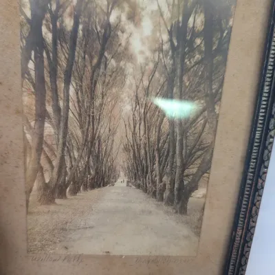 Willow Path & Phi Kappa Psi Fraternity Signed By The Artist
