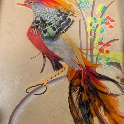 Vintage Mexican Bird Folk Art Feathercraft With Hand Carved Cedar Frame