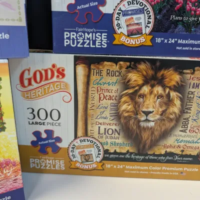 Used God's Refuge Promise Puzzles #3