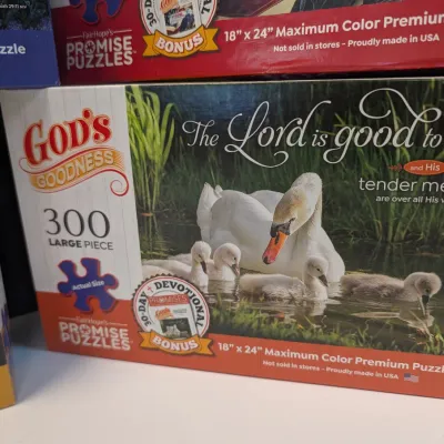 Used God's Refuge Promise Puzzles #3