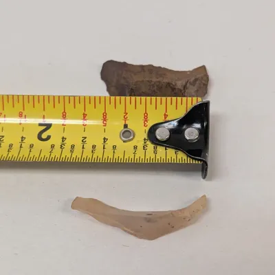 Collection of 7 Stone Artifact Blades & Flakes Mesolithic Burin Spalls North Africa, Algeria