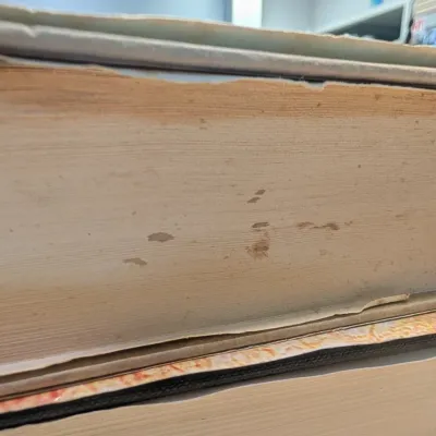Collection Of Books - Variety Of Authors