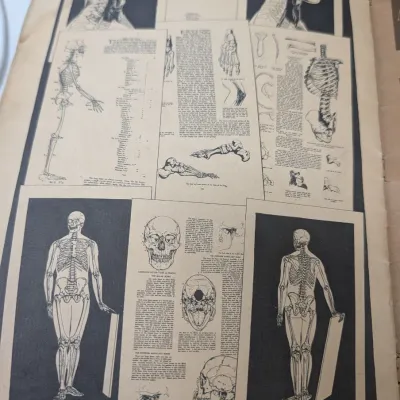 Heads & Figures From Life Charcoal By Walter T Foster Instruction Books