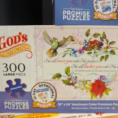 Used God's Refuge Promise Puzzles #3
