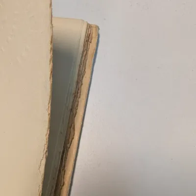 Robert Louis Stevenson Memories Book