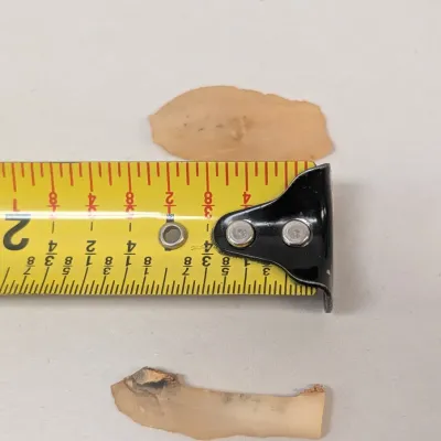Collection of 7 Stone Artifact Blades & Flakes Mesolithic Burin Spalls North Africa, Algeria