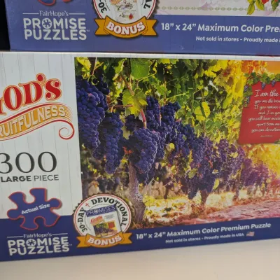 Used God's Refuge Promise Puzzles #3
