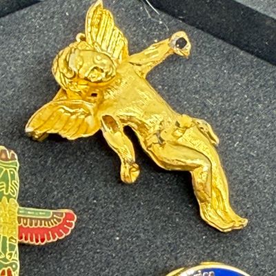 LOT 327: Gold Tone Pin Collection