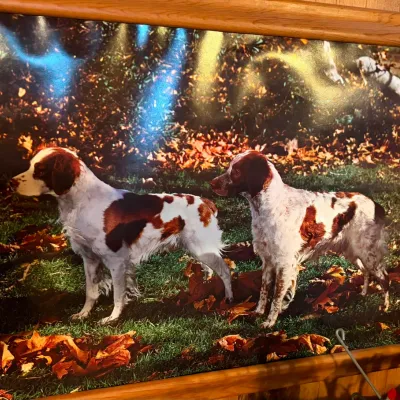 Sale Photo Thumbnail #309