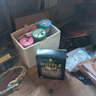 Estate sale photo