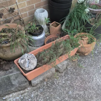 Estate sale photo