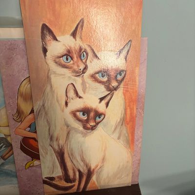 Sale Photo Thumbnail #18