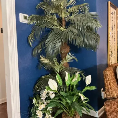 Palm Tree And Friends Faux