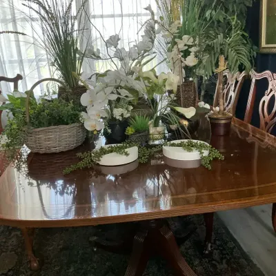 Faux Silk And Plastic Plant Collection