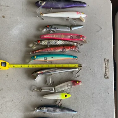 Sale Photo Thumbnail #748