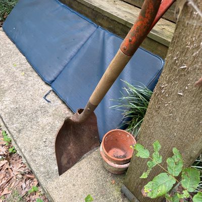 Sale Photo Thumbnail #584