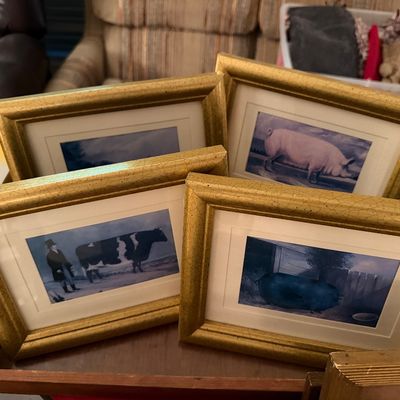 Sale Photo Thumbnail #367