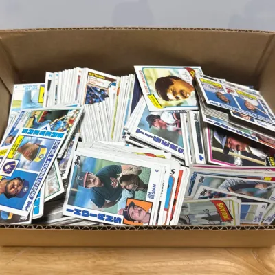 Sale Photo Thumbnail #580