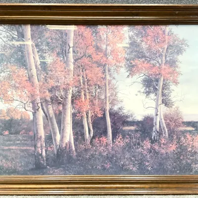 Sale Photo Thumbnail #537