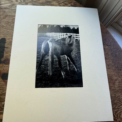 Sale Photo Thumbnail #274