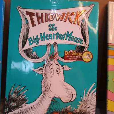 Sale Photo Thumbnail #305: Excellent condition, See pictures