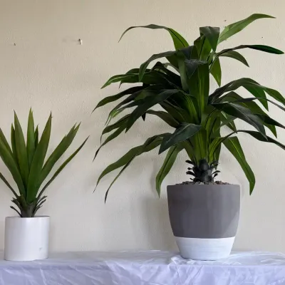 Set of 2 Artificial Indoor Plants with Decorative Pots